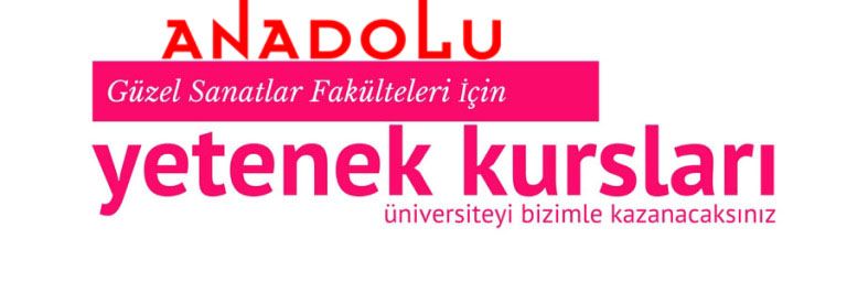 Anadolu Güzel Sanatlar Fakülteleri İçin Yetenek Kursları İzmir