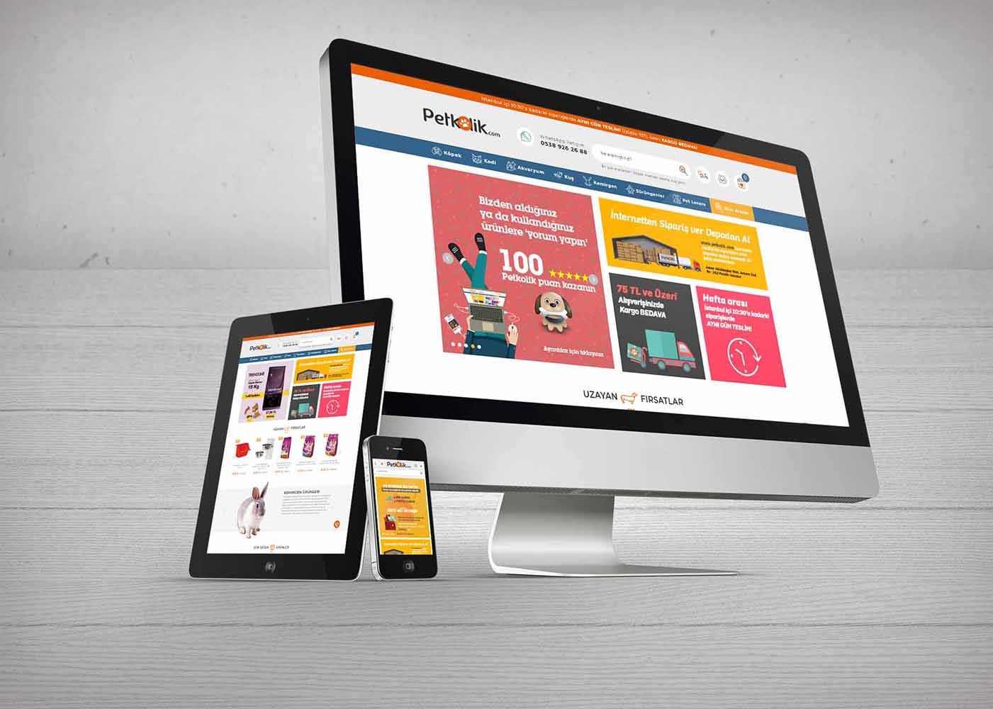 Web Tasarım Kursları