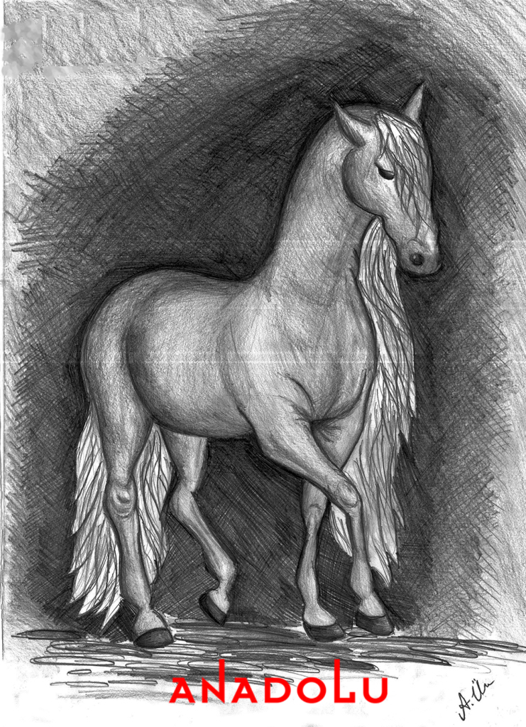 İzmir'de kara kalem at çalışması